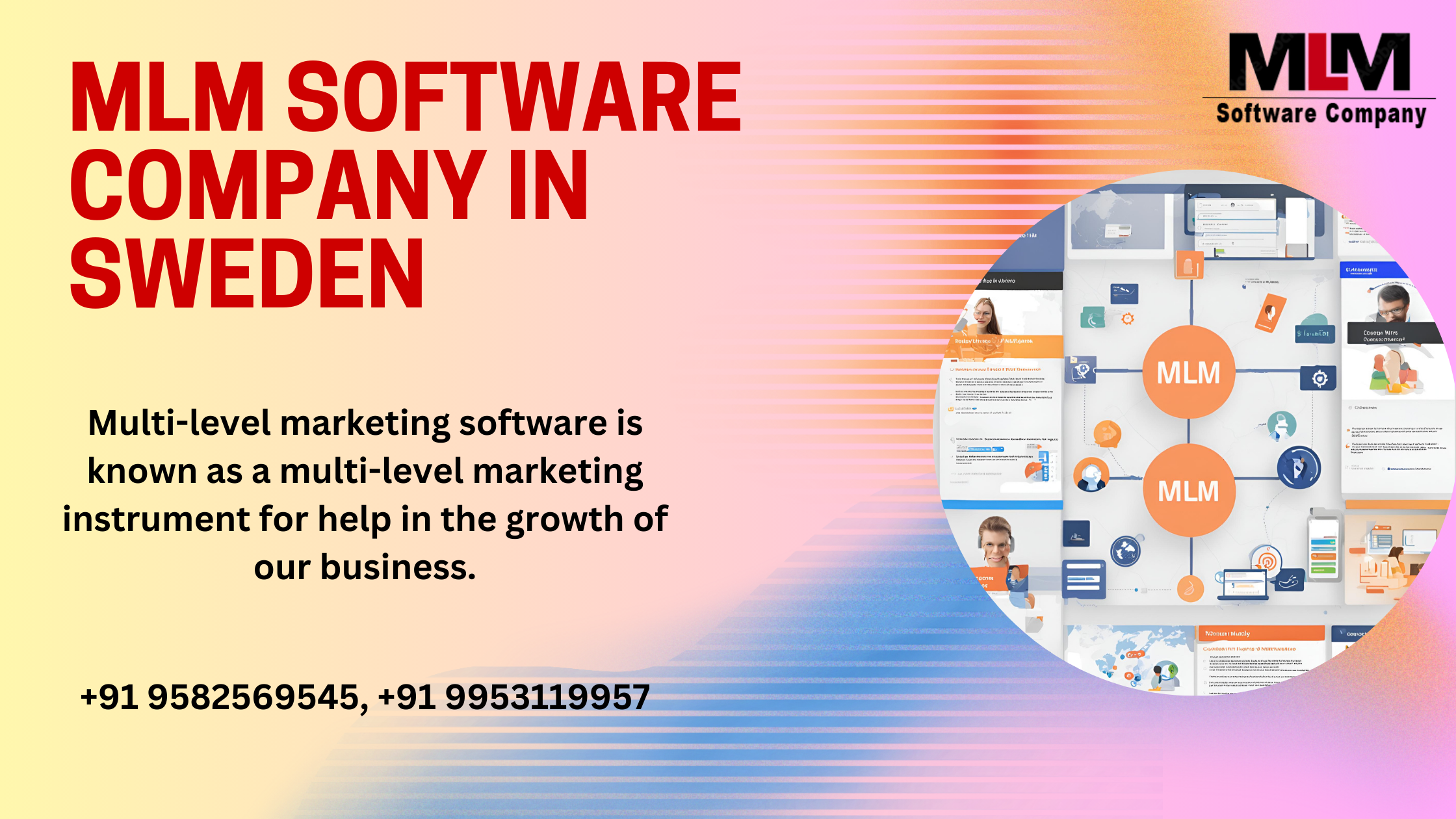 Discover the Leading MLM Software Company in Sweden