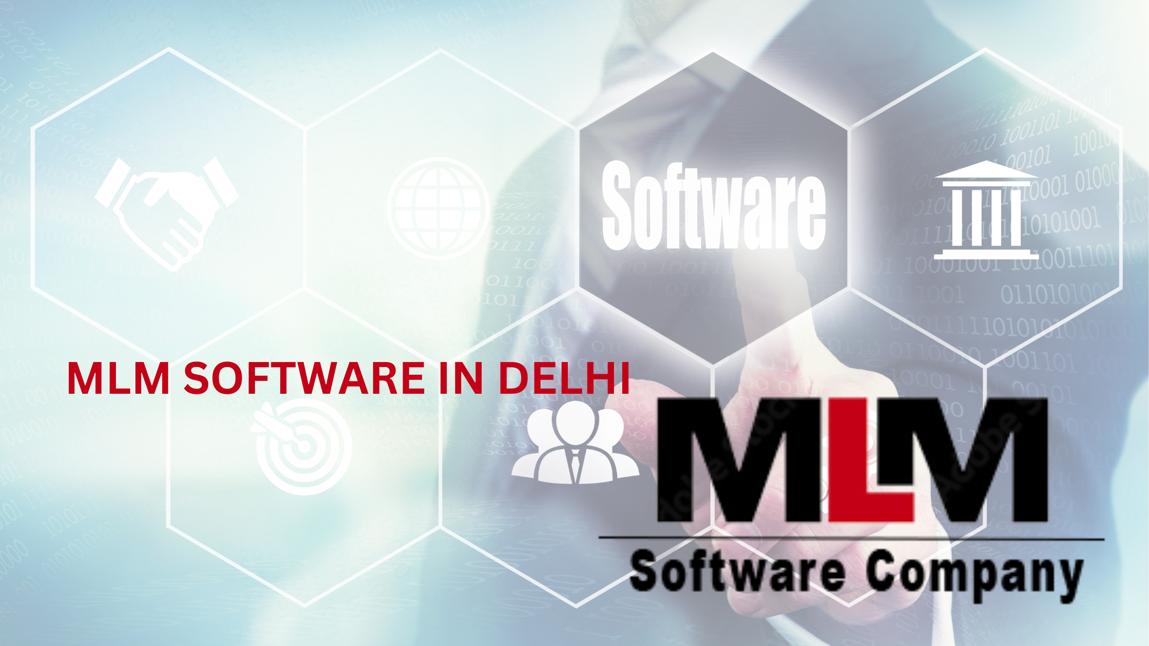 MLM SOFTWARE IN DELHI